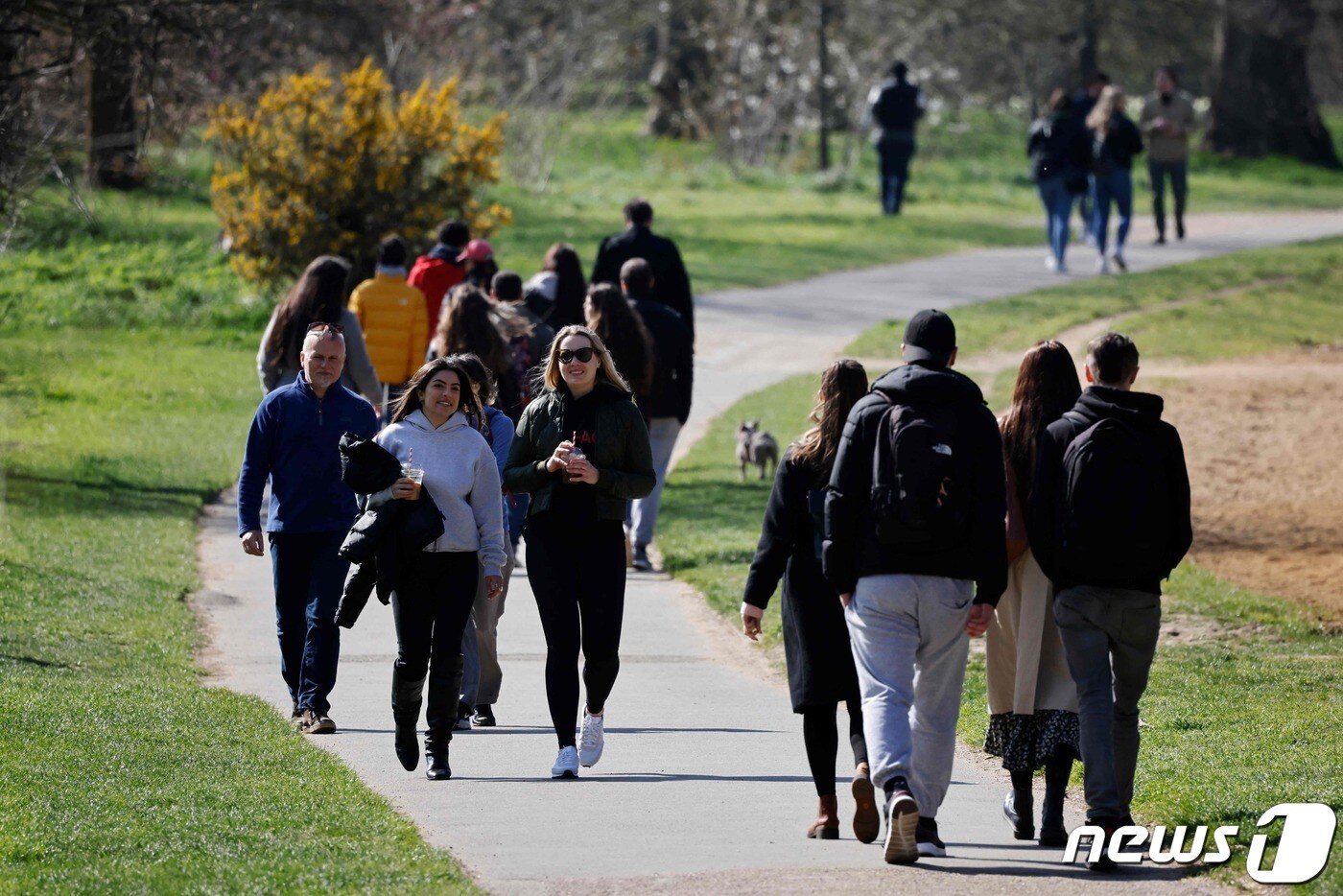 영국 런던의 하이드파크에서 샤를리 에브도 티셔츠를 입은 한 여성이 칼부림을 당했다. (자료사진) ⓒ AFP=뉴스1