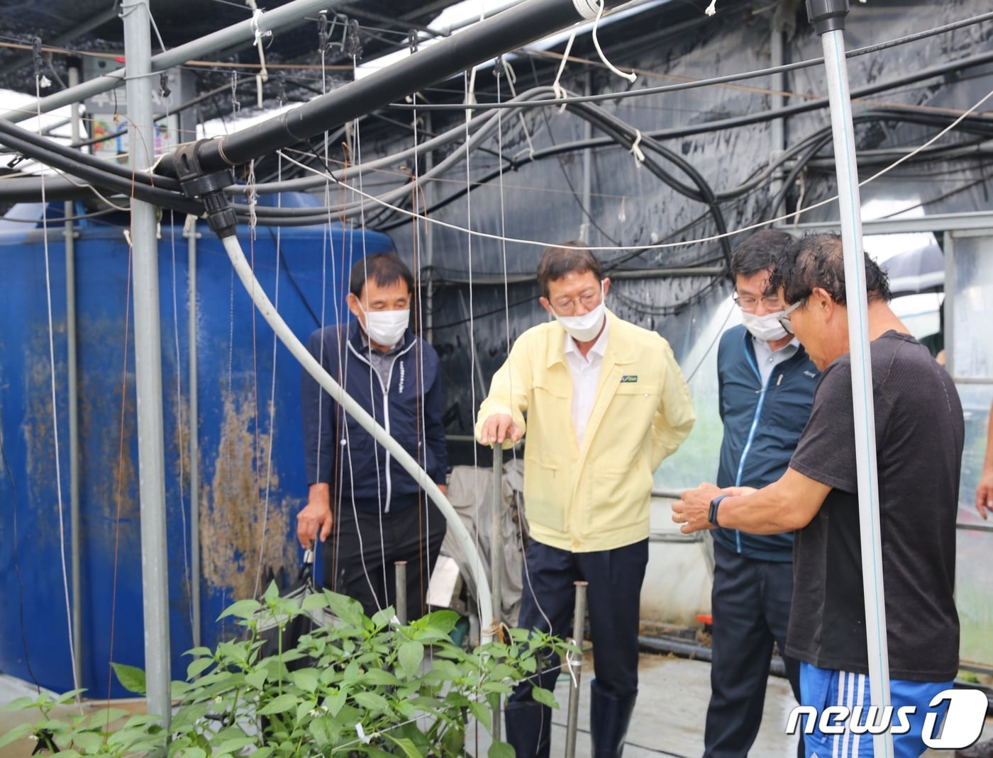 윤해진 경남농협본부장이 6일 집중호우로 피해가 발생한 창원시 대산면 갈전리 고추재배 농가를 직접 찾아 애로사항을 청취하고 추가피해 예방조치 등 현장을 점검하고 있다.(경남농협 제공)2021.7.6 ⓒ 뉴스1