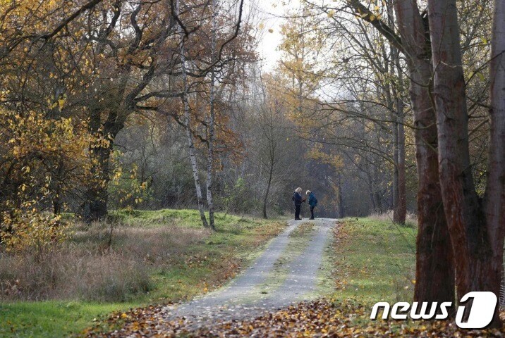희생자 B씨의 시신 일부가 발견된 베를린 교외 공원 ⓒ AFP=뉴스1