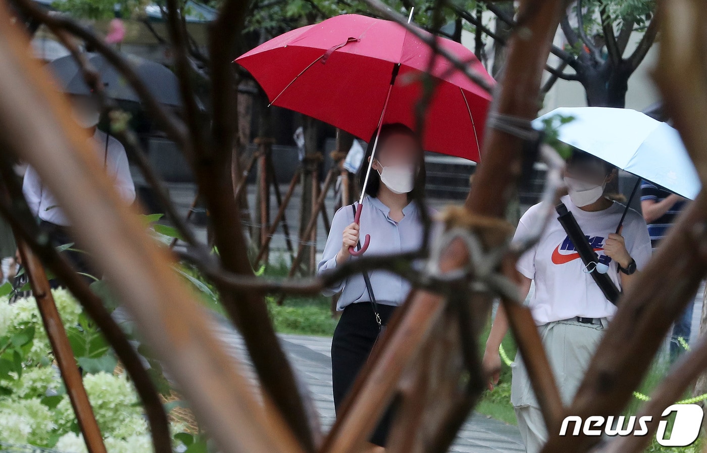 화요일인 15일 충북과 세종은 대체로 흐리고 오전까지 최대 20㎜의 비가 내리겠다.&#40;사진은 기사와 무관함&#41;/뉴스1