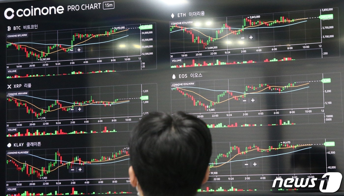 [코인업계 지도下]10명 중 1명꼴로 암호화폐 투자…큰손은 10억 이상 - 뉴스1
