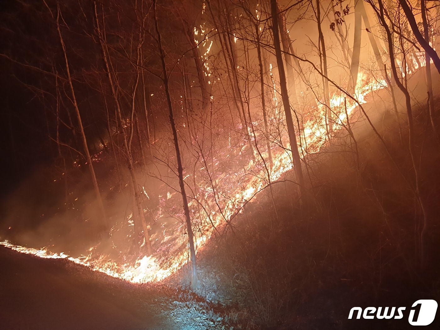 10일 오후 10시22분쯤 경남 창녕군 성산면 대산리 일대 야산에서 불이 났다. 사진은 화재 현장. (경남소방본부 제공) ⓒ 뉴스1