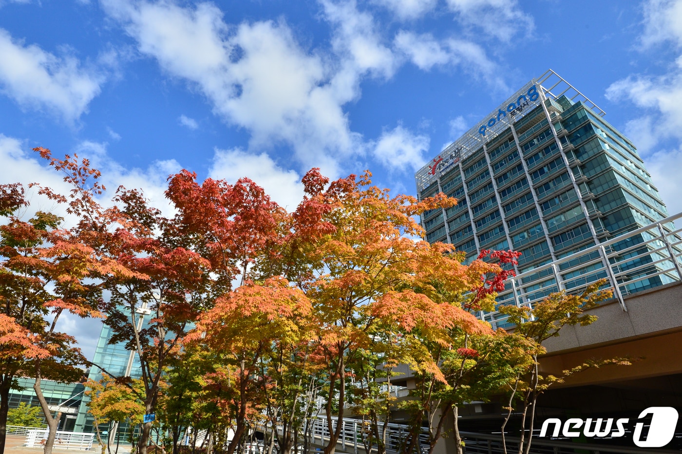 포항시청사 전경.2022.10.13/뉴스1 ⓒ News1 최창호 기자