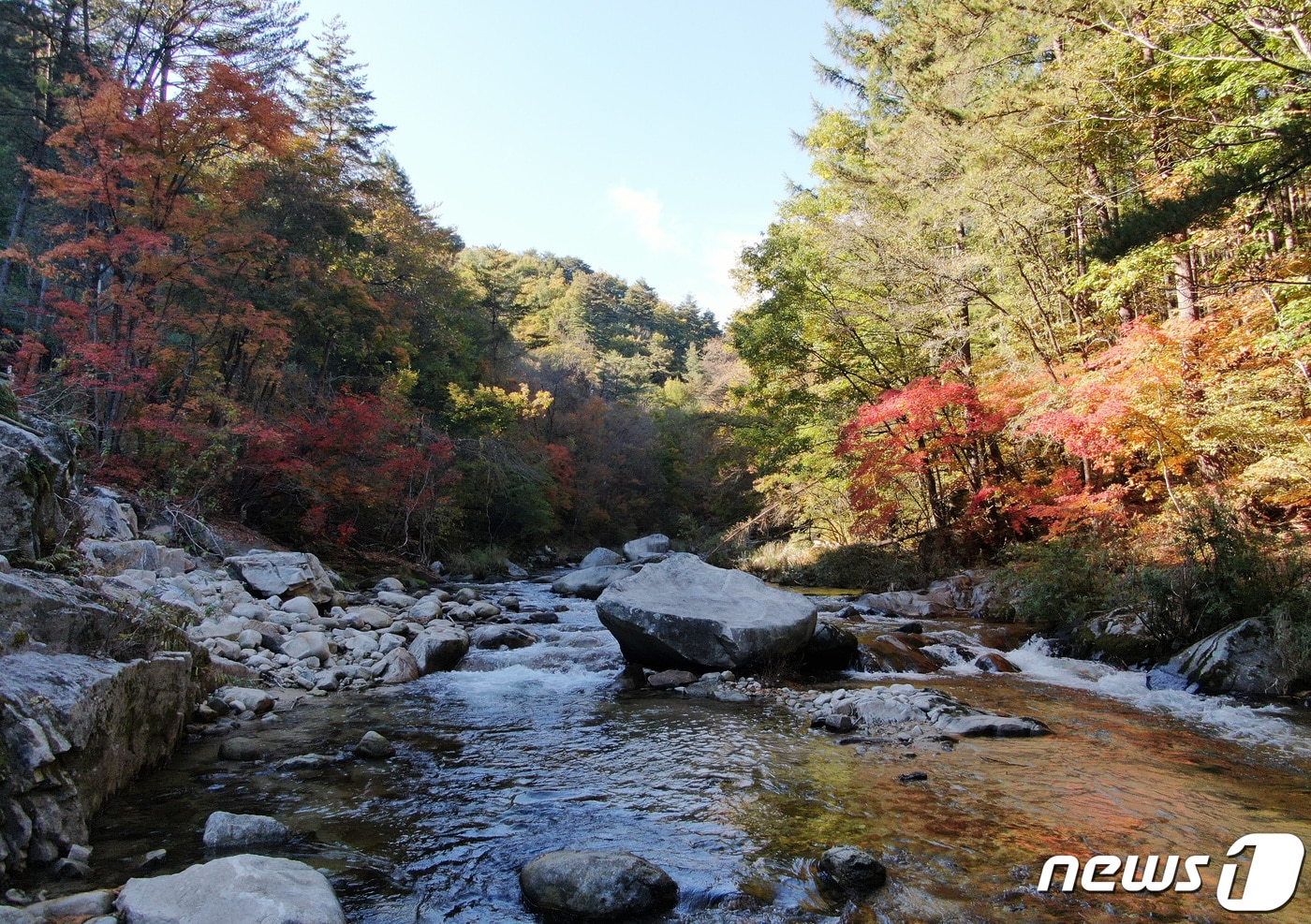 16일 충북·세종은 일교차가 10도 내외로, 차차 건조해지는 가을 날씨를 보이겠다.(사진은 기사 내용과 무관함) / 뉴스1 ⓒ News1
