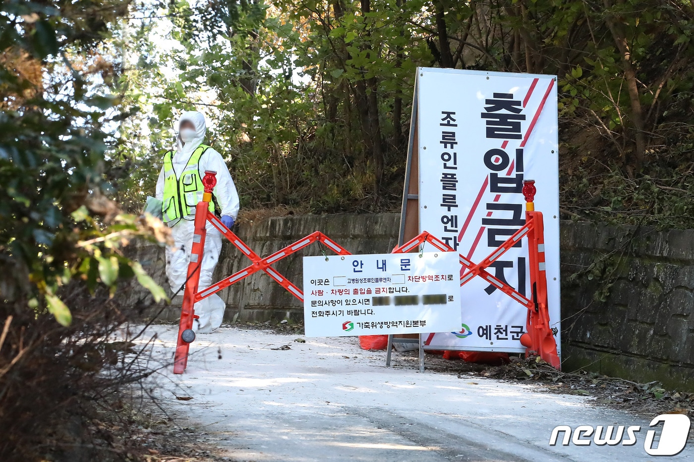 경북 예천군의 한 오리농장에서 발생한 고병원성 조류인플루엔자&#40;AI&#41; 확진과 관련해 가축위생방역지원본부 관계자들이 농장 입구를 통제하고 있다. 2022.10.19/뉴스1 ⓒ News1 공정식 기자