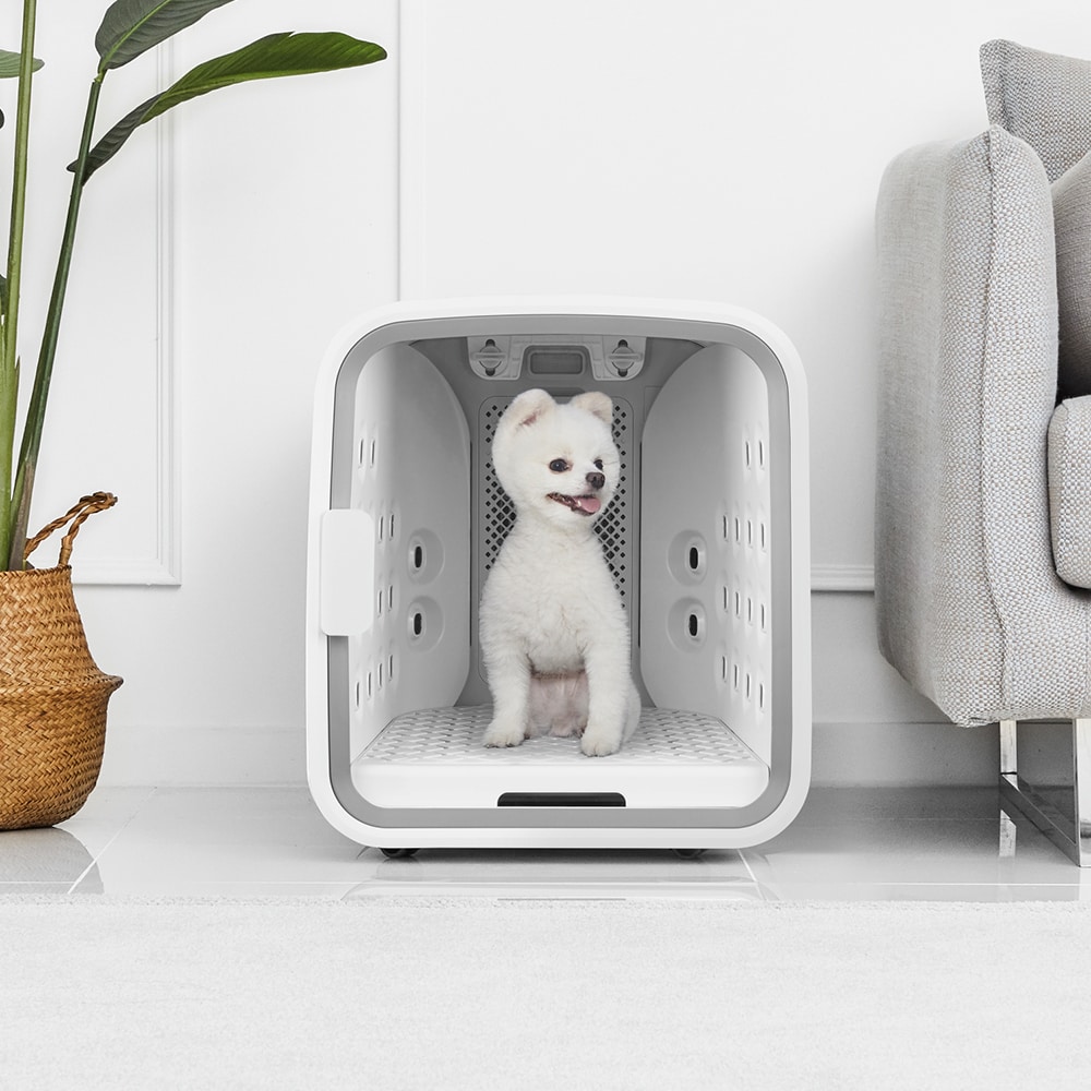 쿠쿠전자 넬로 '펫 에어샤워&드라이룸'(쿠쿠 제공)