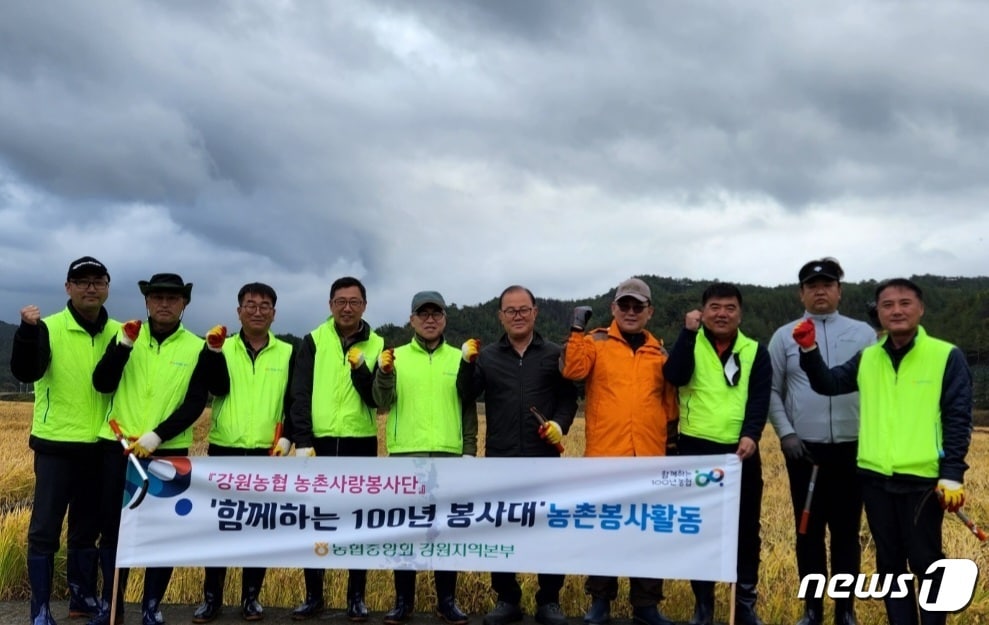 농촌일손돕기.(농협 강원지역본부 제공) 2022.10.29/뉴스1