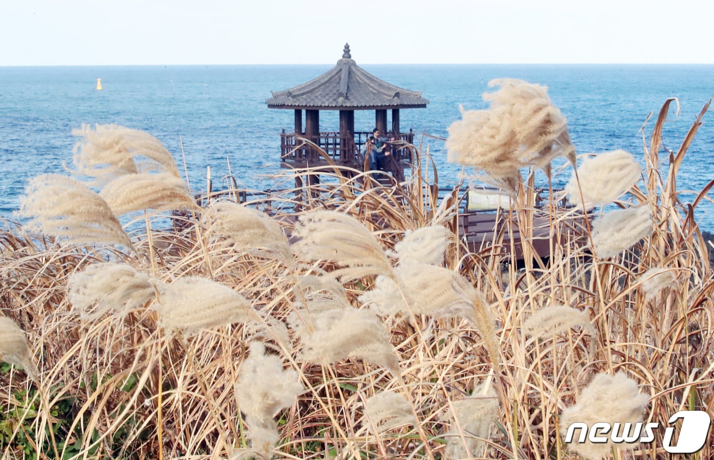 자료사진. ⓒ News1 