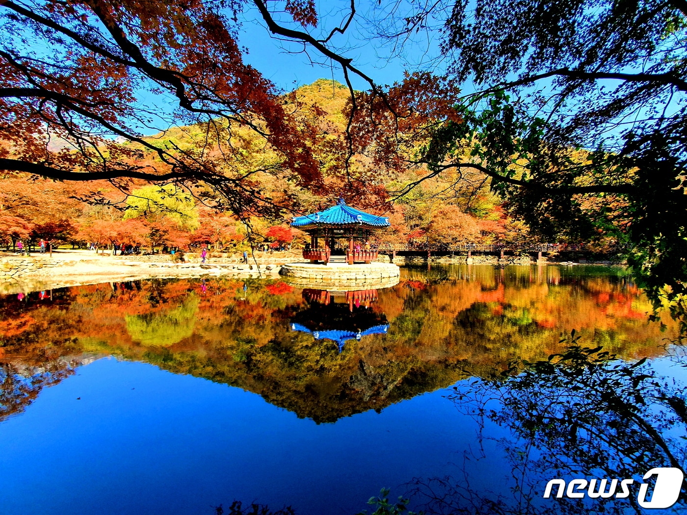 내장산 우화정. 정자에 날개가 돋아 날아갈 것 같다는 우화정&#40;羽化亭&#41;. 거울 같은 연못에 비친 파란 지붕과 파란 하늘, 그리고 &#39;단풍 물감&#39;으로 그린 듯한 가을 산.