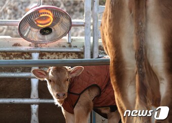 &#40;사진은 기사 내용과 무관함&#41; / 뉴스1 ⓒ News1