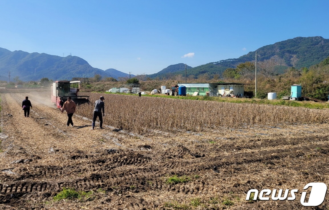 전북 순창지역 공동경영체 5개소가 농식품부 주관 ‘2023년 식량작물 공동경영체 육성 지원’ 공모에 선정됐다.&#40;순창군 제공&#41;2022.11.5/뉴스1