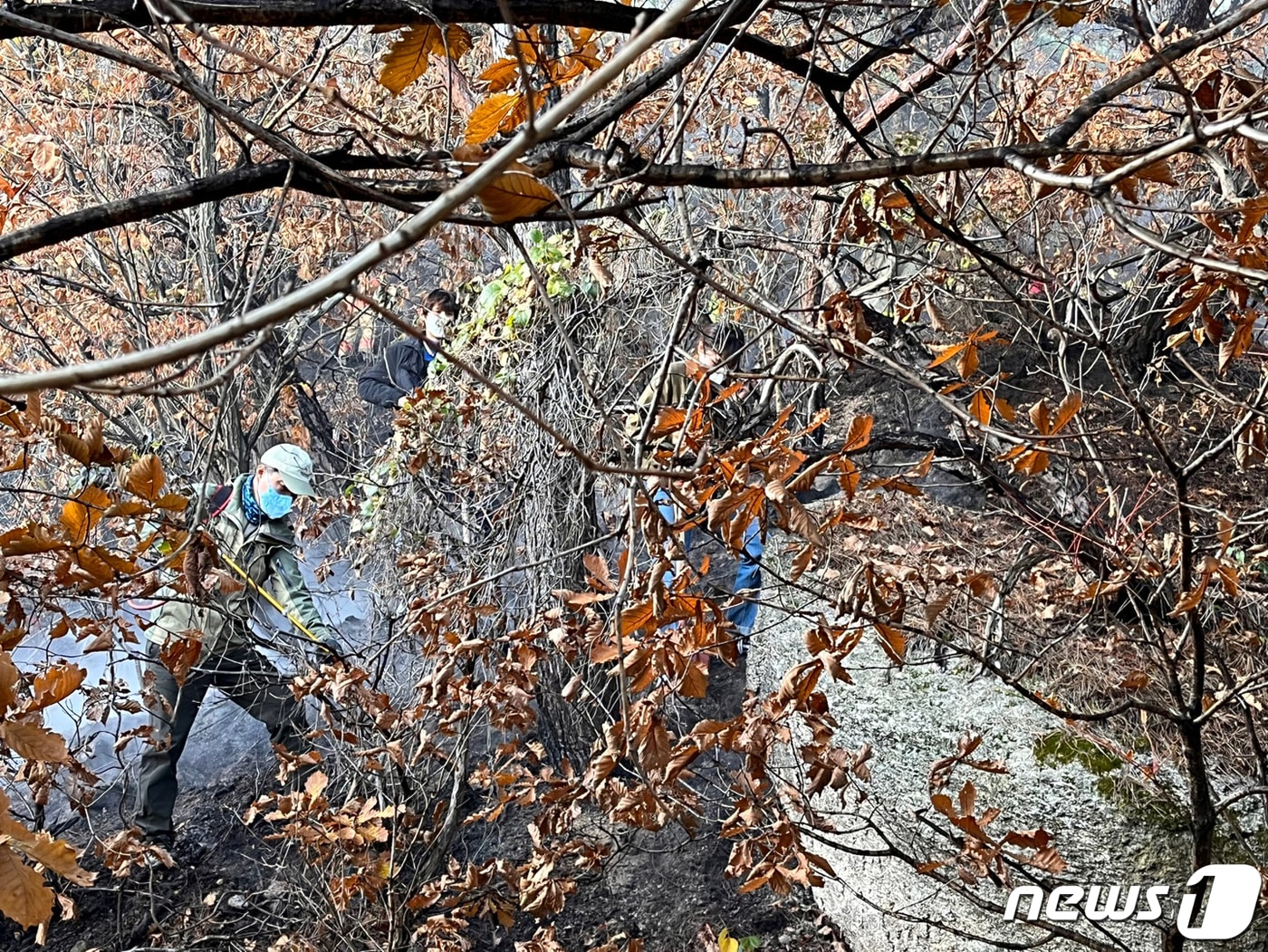 은평구가 북한산 족두리봉 부근에서 발생한 산불을 진화하기 위해 직원을 총동원했다고 7일 밝혔다. 지난 5일 오후 2시 32분쯤 화재가 발생하자 관계자들이 잔불 제거 작업을 하는 모습. &#40;은평구 제공&#41; 2022.11.7/뉴스1