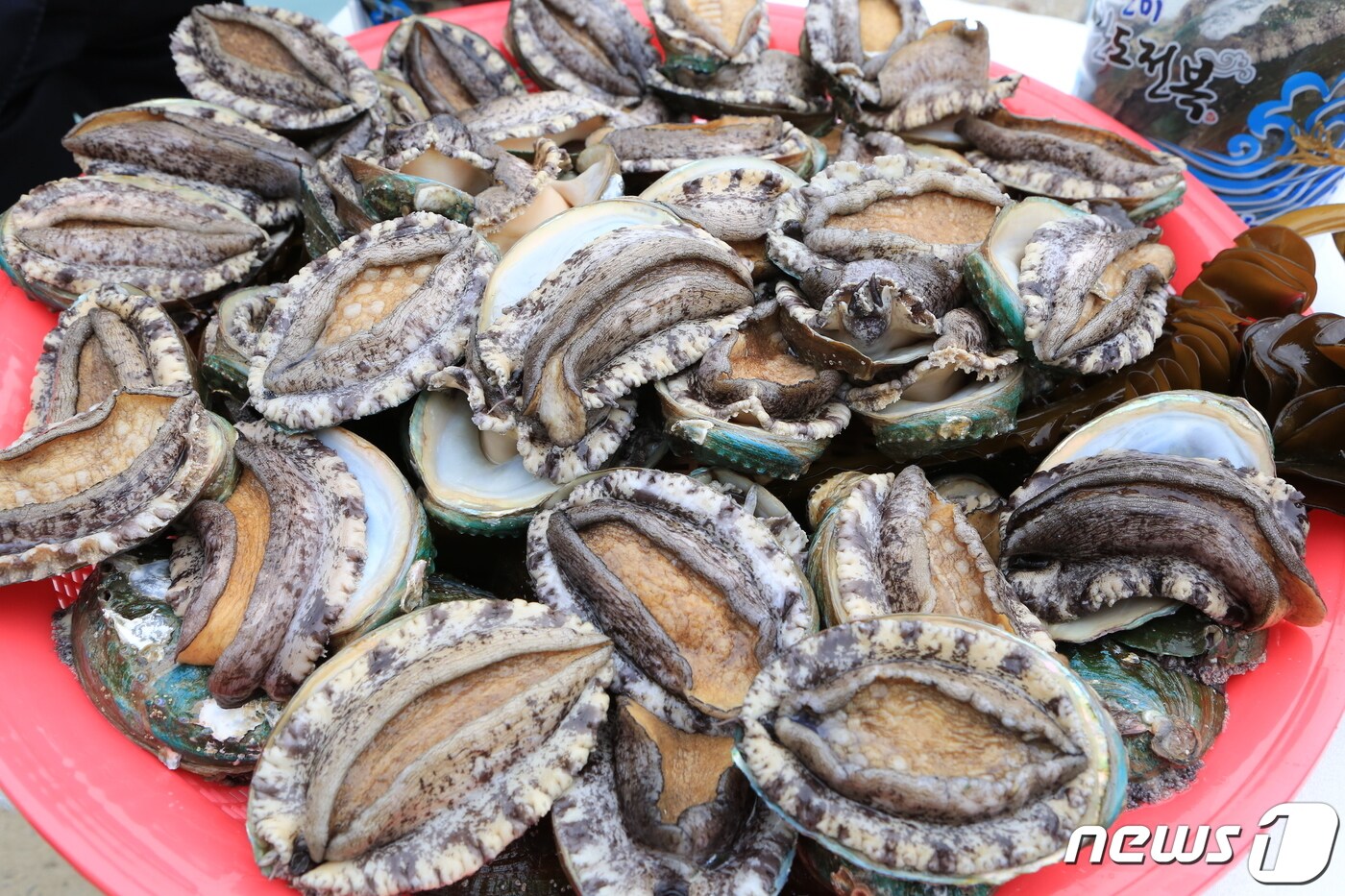 완도 전복 (완도군 제공. 재판매 및 DB금지) /뉴스1