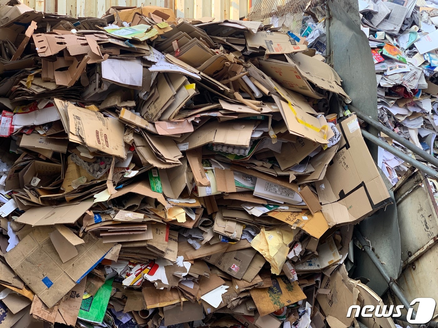 폐지 가격 급락에 배곯는 노인들…