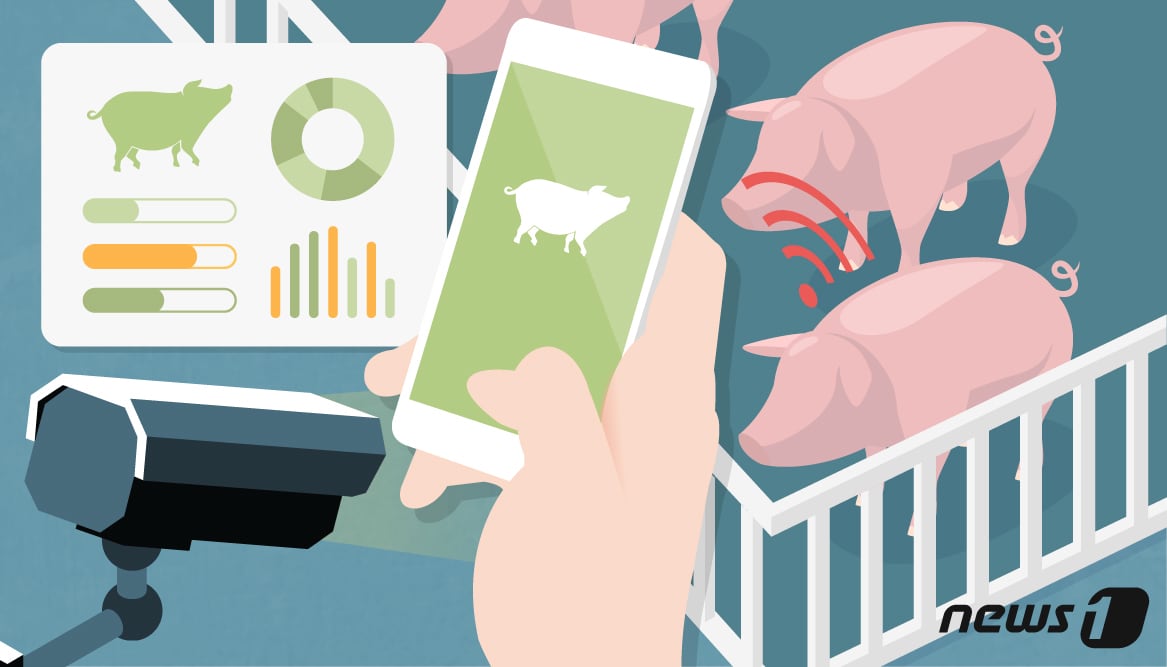 폰으로 소 팔고 돼지는 '딥러닝' 체중 분석...'신세계' 농촌 - 뉴스 썸네일 이미지