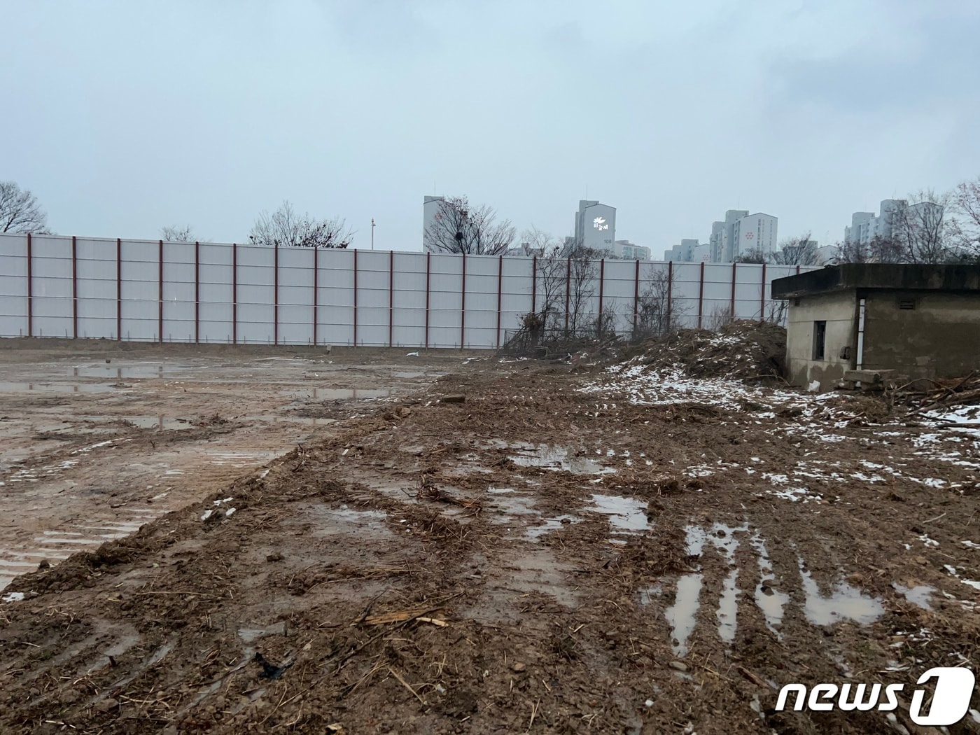 전북환경운동연합은 26일 성명서를 통해 "옛 대한방직 부지 내부를 둘러본 결과 맹꽁이 주요 서식지가 훼손된 것을 확인했다"며 "훼손 구간은 맹꽁이가 먹이 활동을 하거나 겨울잠을 자는 주요 서식지로 추정된다"고 주장했다.(전북환경연합 제공)2022.12.26/뉴스1