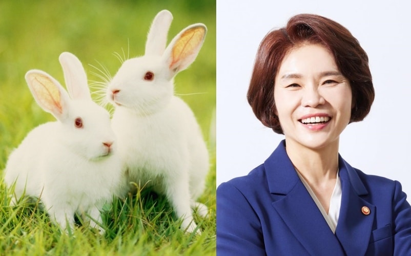 화장품 실험에 많이 동원되는 것으로 알려진 토끼(사진 이미지투데이)와 동물대체시험법을 발의한 한정애 의원(의원실 제공) /뉴스1
