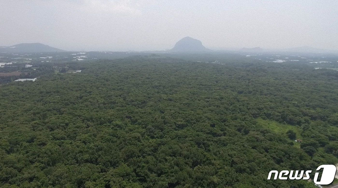 ㈜JS&F가 제주곶자왈공유화재단에 기증한 서귀포 안덕면 서광리 8번지 소재 사유지 곶자왈 5000여 평.(제주곶자왈공유화재단 제공)2022.12.5/뉴스1