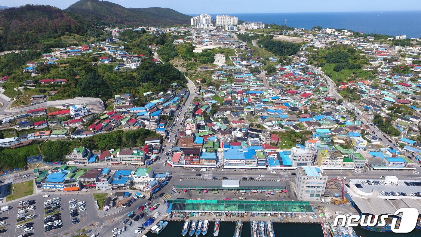 동해 묵호 산불 피해지 '새뜰마을'로 재탄생하나 - 뉴스1