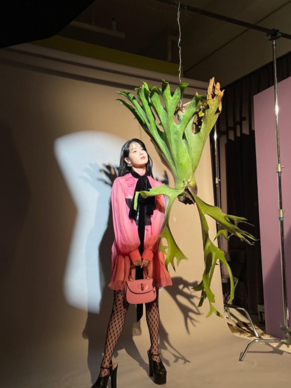 아이유 SNS 갈무리 ⓒ 뉴스1