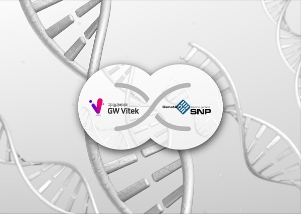 지더블유바이텍ⓒ 뉴스1