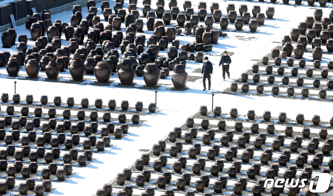 경기도 파주장단콩웰빙마루에서 직원들이 장담그기를 위해 장독을 살펴보고 있다. 이곳에서는 파주지역에서 재배된 콩으로 직접 메주를 만들어 오는 3월5일 부터 장독에 장담그기를 시작한다. 2022.2.3/뉴스1 ⓒ News1 김명섭 기자