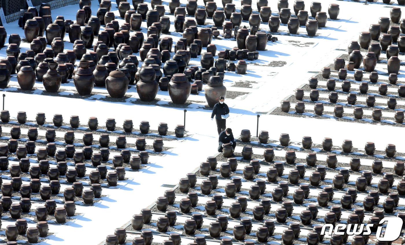 입춘을 하루 앞둔 3일 경기 파주장단콩웰빙마루에서 직원들이 장담그기를 위해 장독을 살펴보고 있다. 이곳에서는 파주지역에서 재배된 콩으로 직접 메주를 만들어 오는 3월1일 부터 1,400여개의 장독에 장담그기를 시작한다. 2022.2.3/뉴스1 ⓒ News1 김명섭 기자