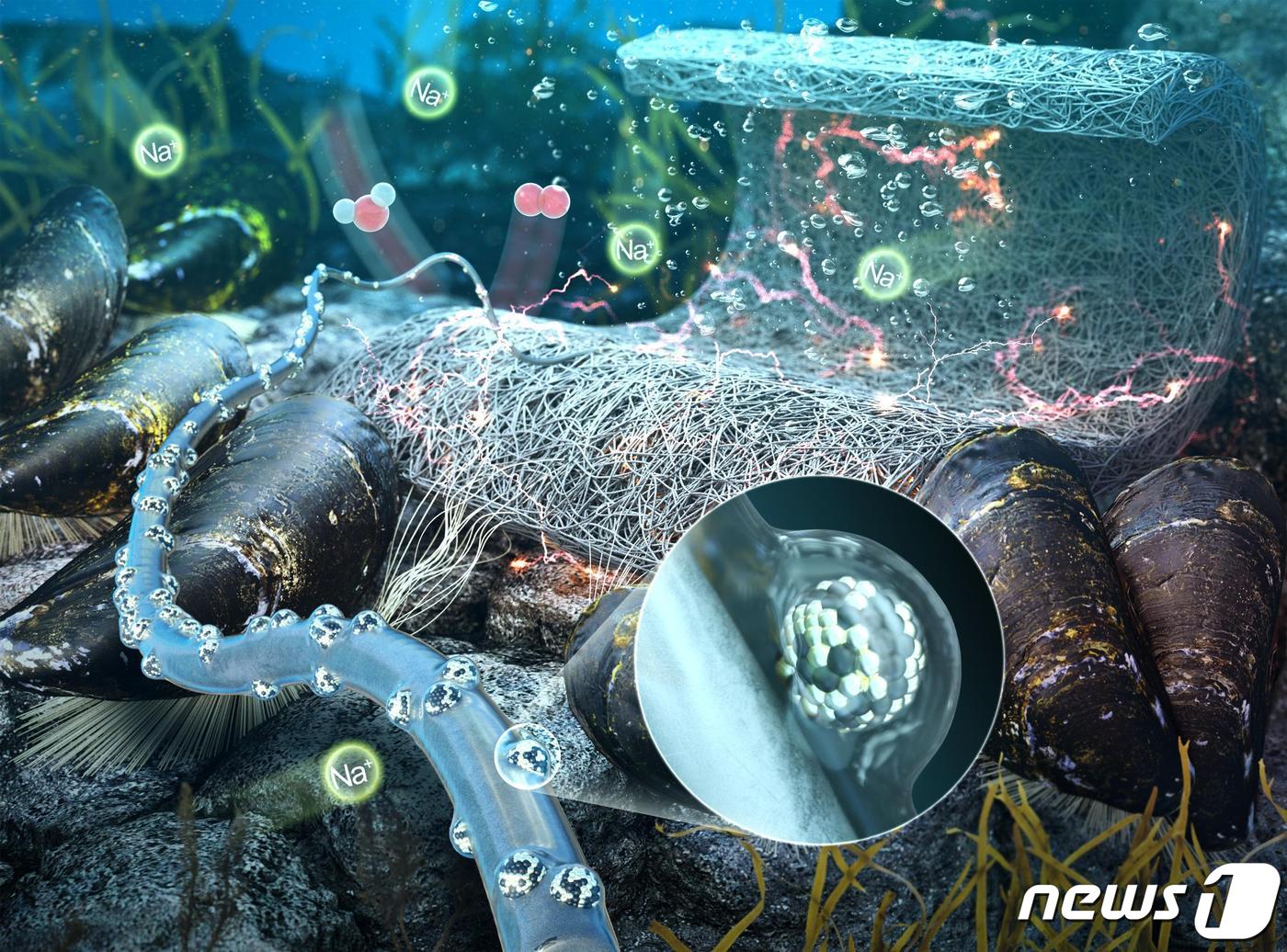 [연구그림] 홍합 접착성분을 닮은 바인더물질이 촉매를 전극 탄소섬유 잘 접착시킴.(UNIST 제공) ⓒ 뉴스1