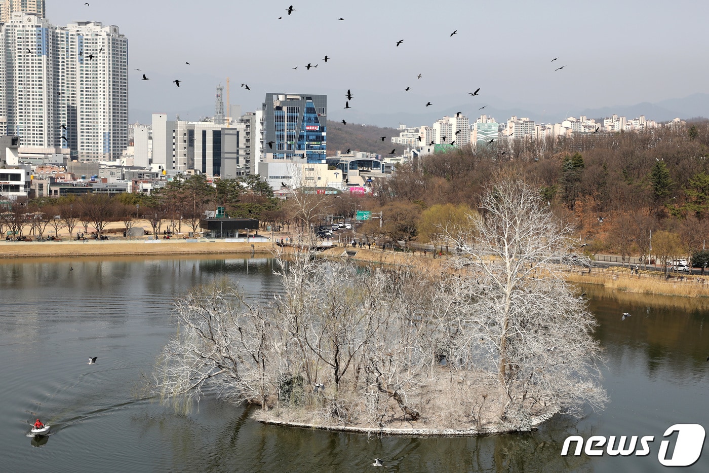 2022년 3월 15일 대구 수성구청 관계자들이 수성못 둥지섬 조류 분비물을 청소하고 있다.  ⓒ News1 DB