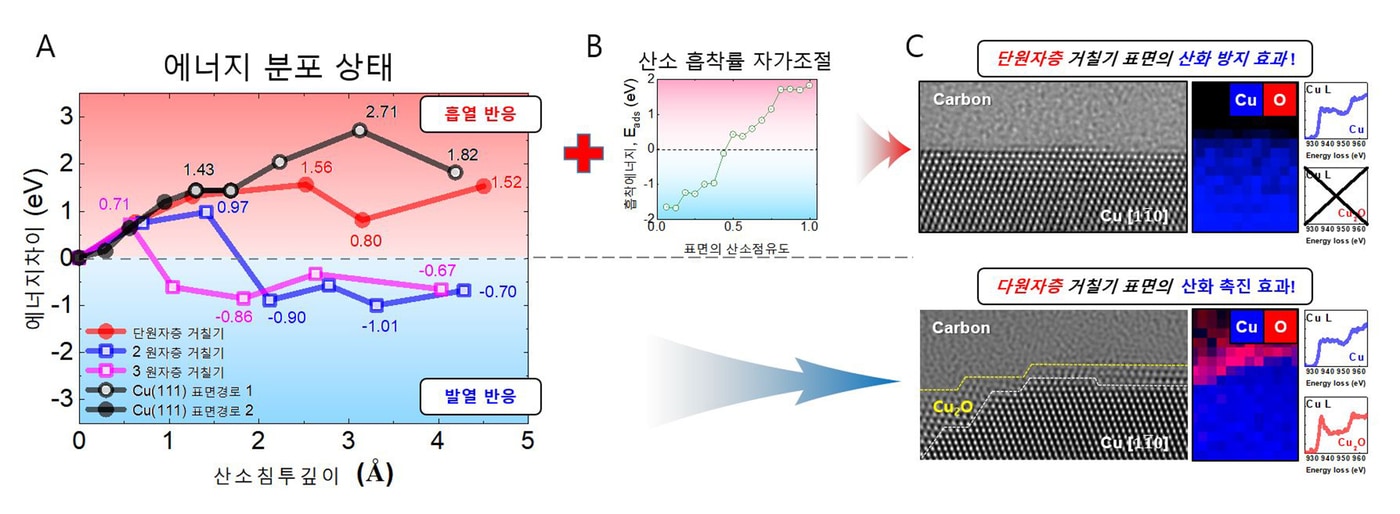 표면 원자계단의 개수에 따라 산소가 구리속으로 침투하는데 필요한 에너지가 달라진다. 그림 A는 표면 원자계단이 한 층인 경우 산소침투는 흡열 반응이고 두층 이상인 경우 발열 반응을 함을 계산을 통해서 보여준다. 그림 B는 산소가 평탄한 구리 표면을 50% 이상 점유하면 스스로 산소를 밀어내는 자기-조절 기능을 가짐을 보이고, 그림 C 에서는 실제로 초평탄 면에는 산화면이 존재하지 않고 원자계단이 두 층 이상인 경우 산화층이 존재함을 실험적으로 보여준다. (정세영 부산대학교 교수 제공) 2022.03.16 /뉴스1
