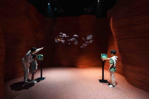 디스커버리 네이처스케이프_canyonⓒ 뉴스1