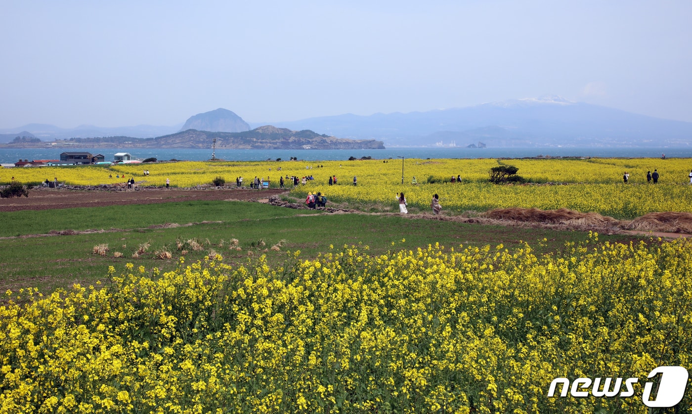 제주 서귀포시 대정읍 가파도에서 관광객들이 봄 기운을 만끽하고 있다 (제주도 제공) ⓒ News1