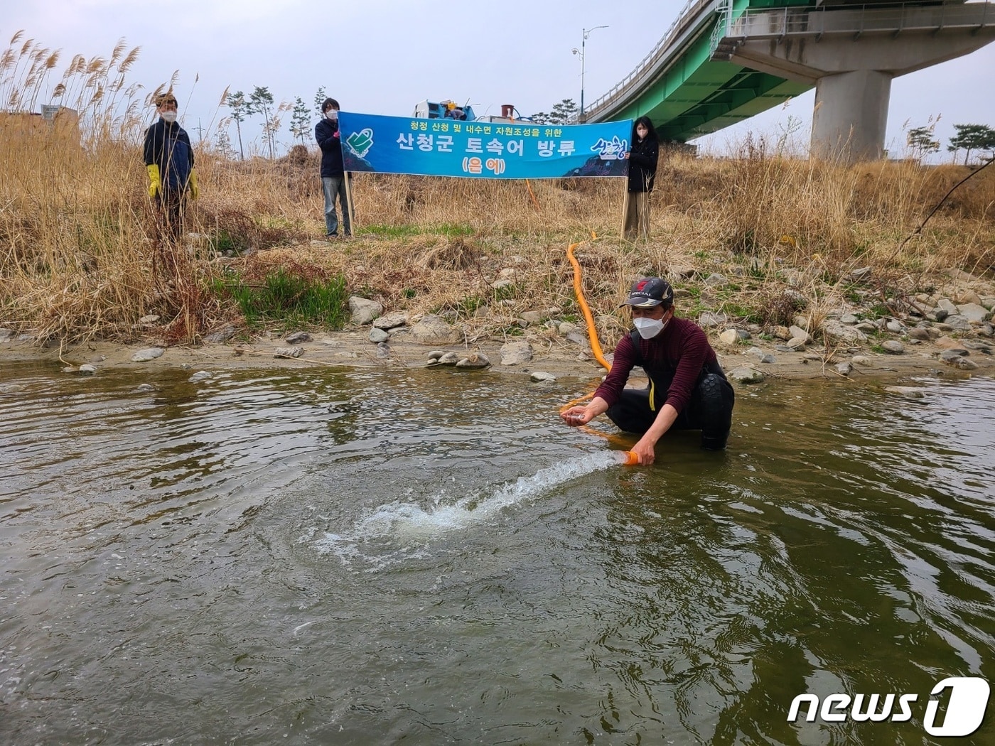 산청군 은어치어 방류 토속어 보존사업 모습(산청군 제공)ⓒ 뉴스1