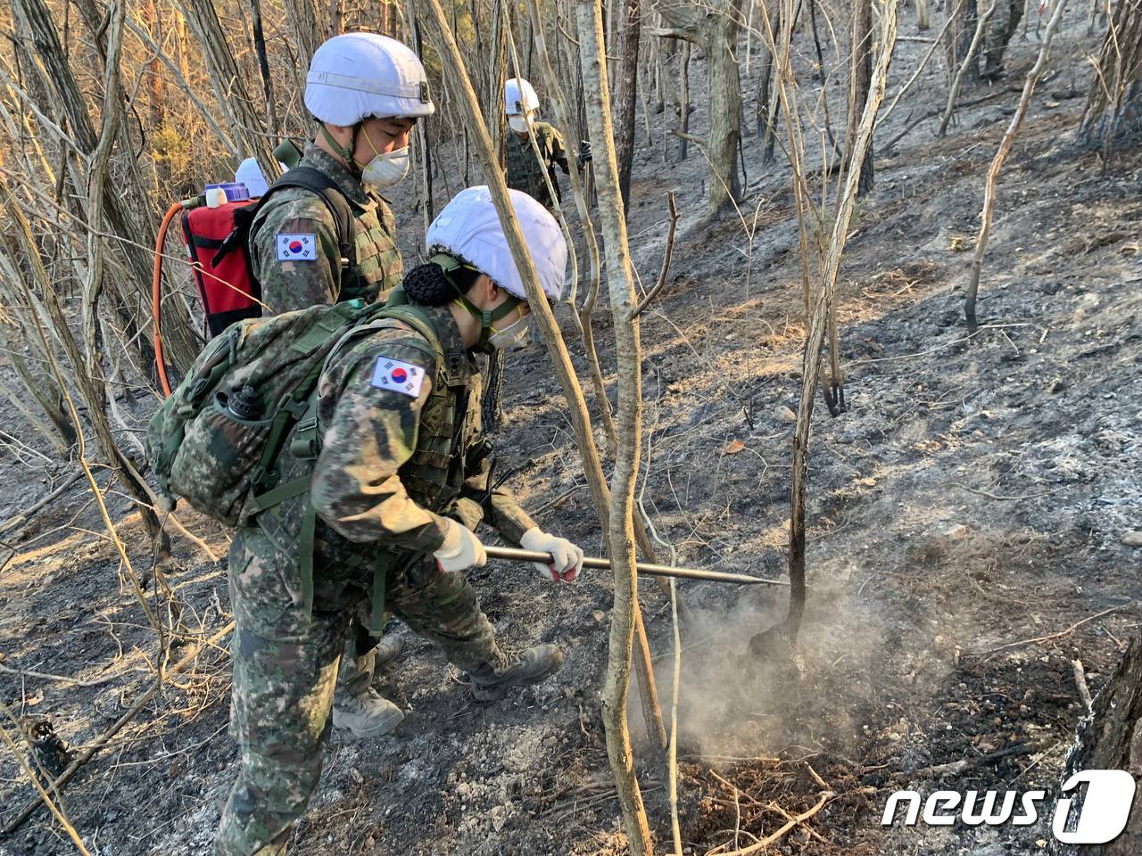 기사 이해를 돕기 위한 산불진화 작업 자료 사진으로, 기사 내용과 직접 관련 없음. (뉴스1 DB)