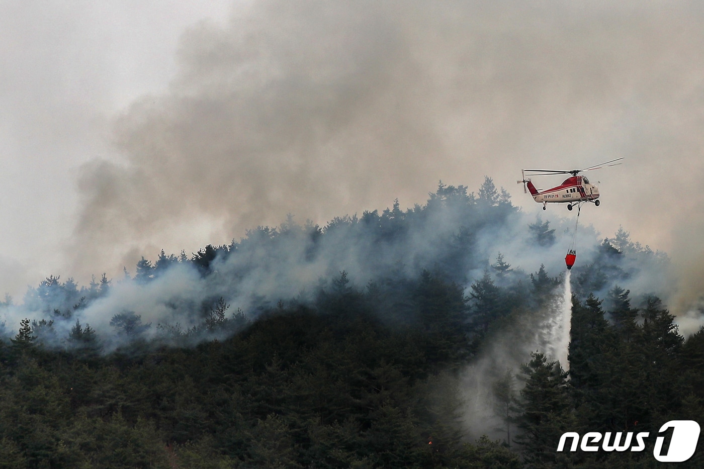산불 진화하는 소방 헬기.(자료사진)/뉴스1 DB