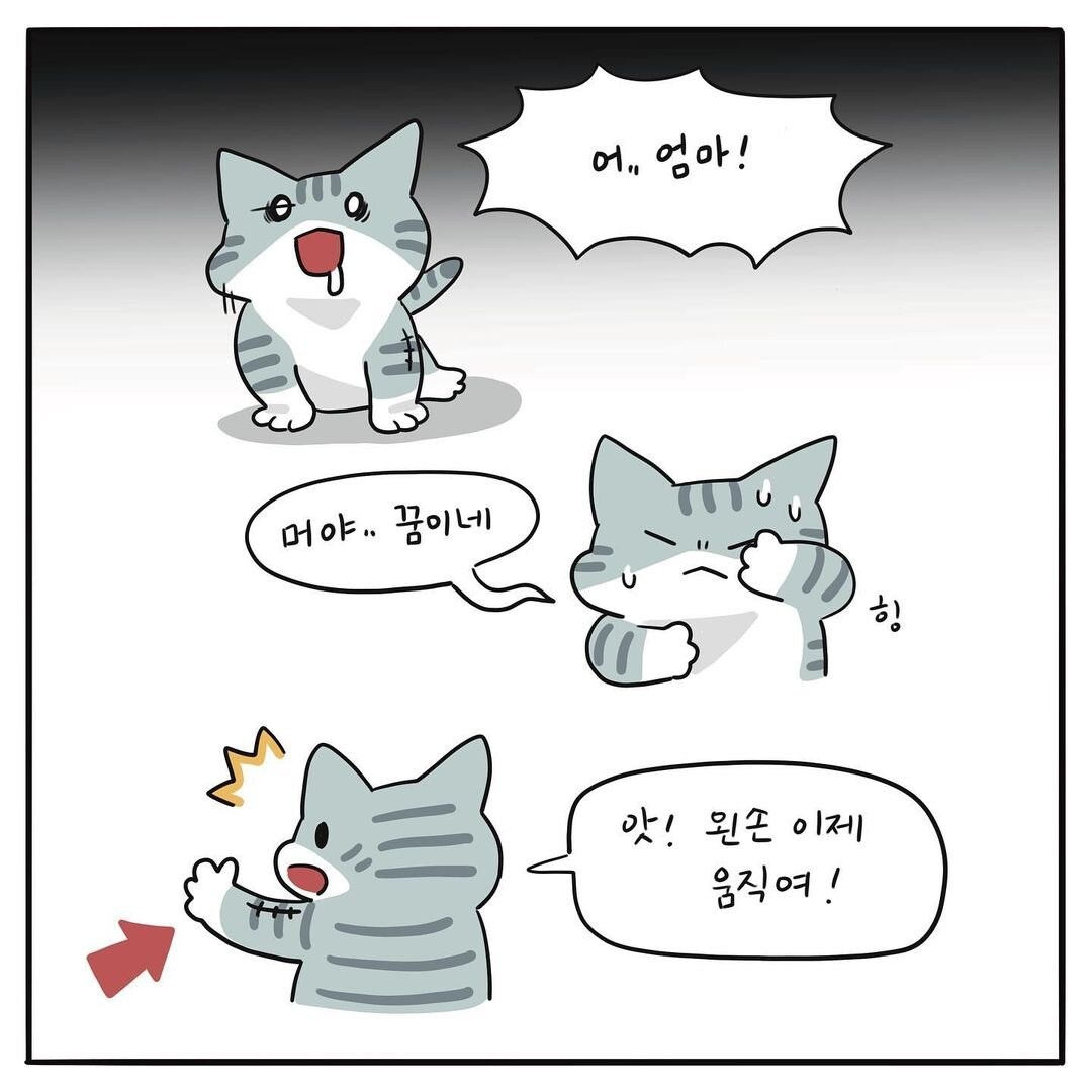 해피펫툰 ⓒ 뉴스1