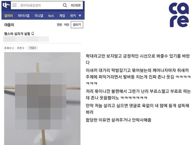 (동물권 단체 케어 인스타그램 갈무리) ⓒ 뉴스1