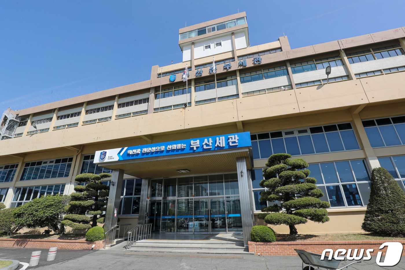 부산본부세관 전경 ⓒ News1 DB