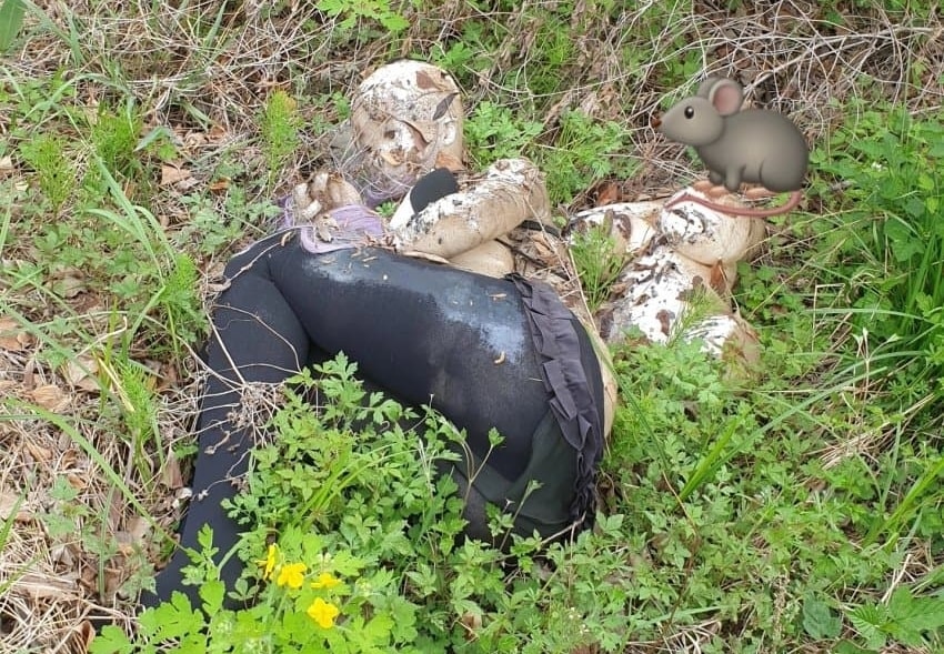 경기도 광주시 곤지암의 한 저수지에 버려진 리얼돌. (온라인 커뮤니티 갈무리) ⓒ 뉴스1