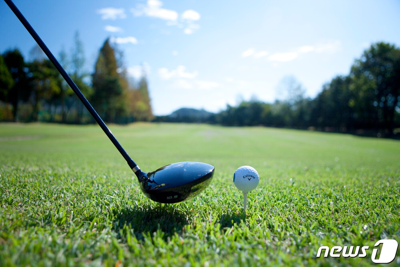 (사진=이미지투데이) ⓒ 뉴스1 DB