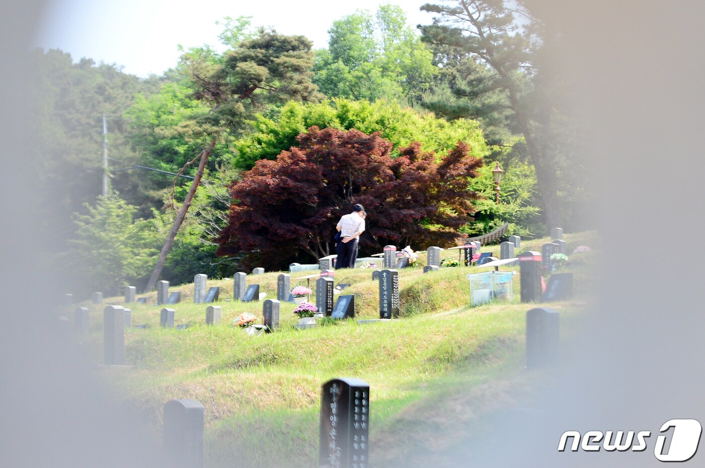 더불어민주당 대구시당은 29일 논평을 통해 5·18 광주 민주화운동과 관련된 대구지법의 판결에 대해 "그날의 시민들이 민주주의를 지켜왔다"며 환영했다. 사진은 제42주년 5·18민주화운동 기념식이 2022년 5월 18일 광주 망월동 묘역에서 시민들이 참배하는 모습. (사진은 기사 내용과 무관함) 2022.5.18/뉴스1 ⓒ News1 자료 사진