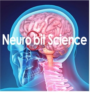 뉴로비트사이언스, 중기부 '산학연 Collabo R&D 사업' 선정 - 뉴스 썸네일 이미지