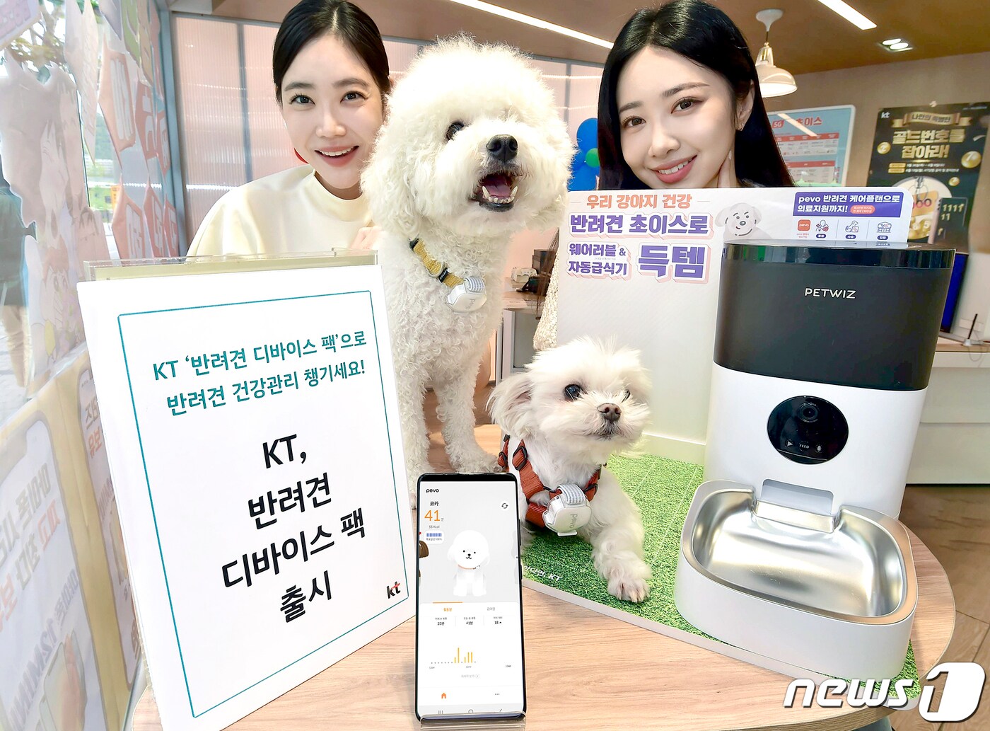 30일 KT는 반려견의 활동량을 분석해 적정 급식량을 자동 제공하는 &#39;반려견 디바이스팩&#39;을 출시했다고 밝혔다.&#40;KT 제공&#41; ⓒ 뉴스1