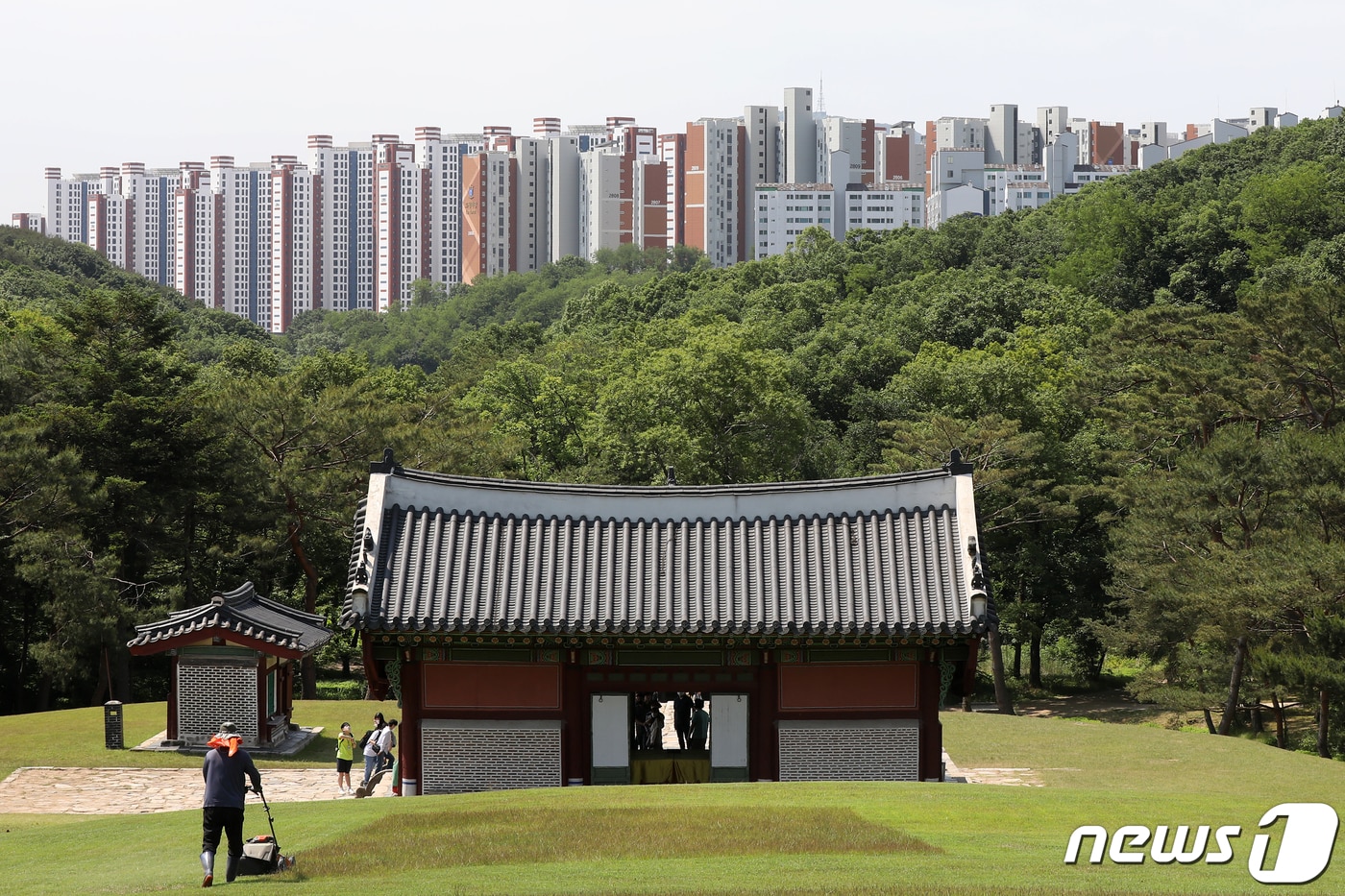 경기 김포 장릉에서 바라본 '왕릉뷰 아파트' 모습. 2022.5.31/뉴스1 ⓒ News1 민경석 기자