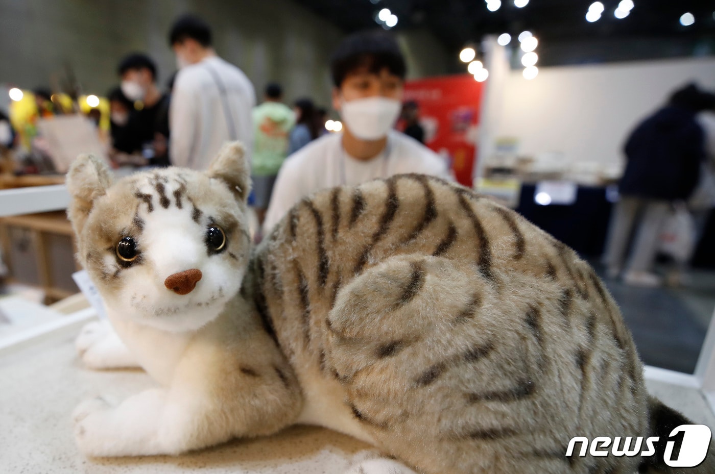 동물병원 진료비 표시제가 올해부터 시행됐지만 비싼 진료비 등에 대한 반려인들의 불만이 여전히 높다. 사진은 지난해 5월6일 경기 고양시 일산 킨텍스에서 열린 '서울캣쇼. 2022.5.6/뉴스1 ⓒ News1 권현진 기자
