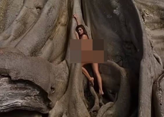 러시아 인플루언서 알리나 파즐리바가 지난 2019년 발리섬의 한 나무에서 찍은 사진 (인스타그램 갈무리) ⓒ 뉴스1