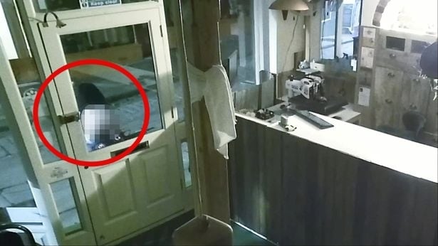 한 여성이 옷가게 문 앞에서 대변을 싸고 있다. (데일리스타 갈무리) ⓒ 뉴스1