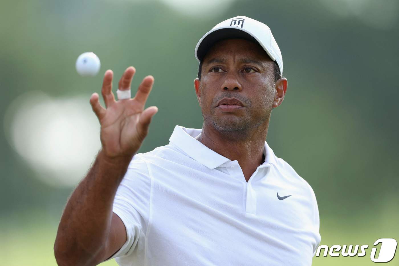 타이거 우즈. ⓒ AFP=뉴스1