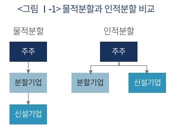 (자본시장연구원 제공) ⓒ 뉴스1