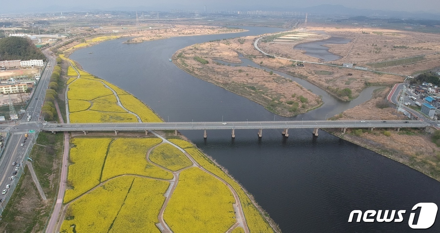 나주 영산대교./뉴스1